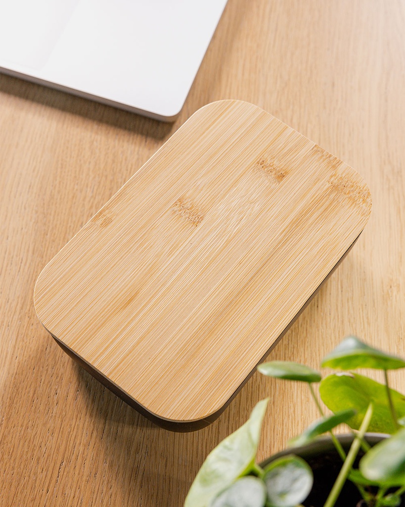  Sandwich Lunchbox