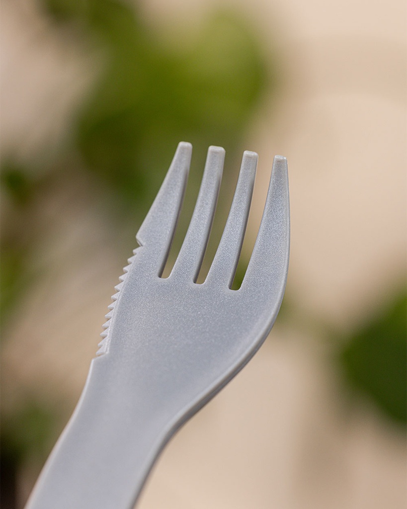 Spork Lunchbox