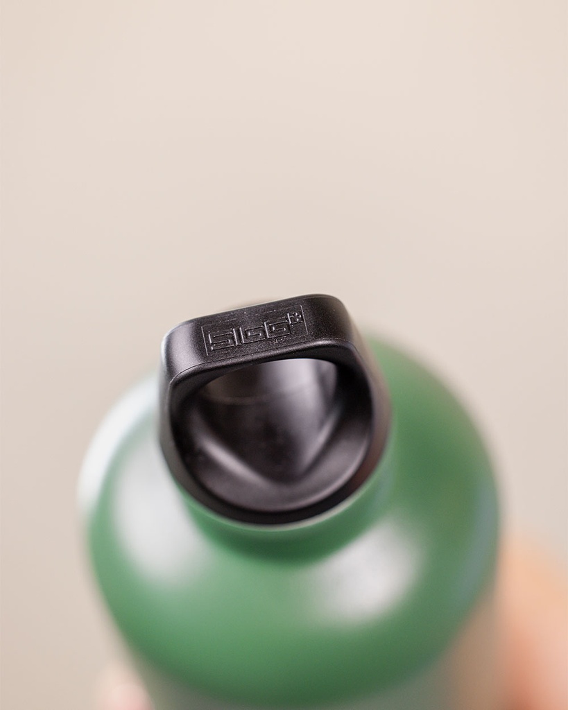 SIGG Traveler Bottle · 600 ml