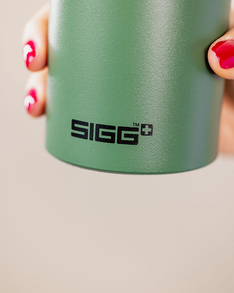 SIGG Traveler Bottle · 600 ml