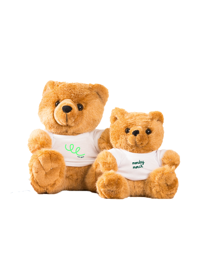 Plush Teddy Bear