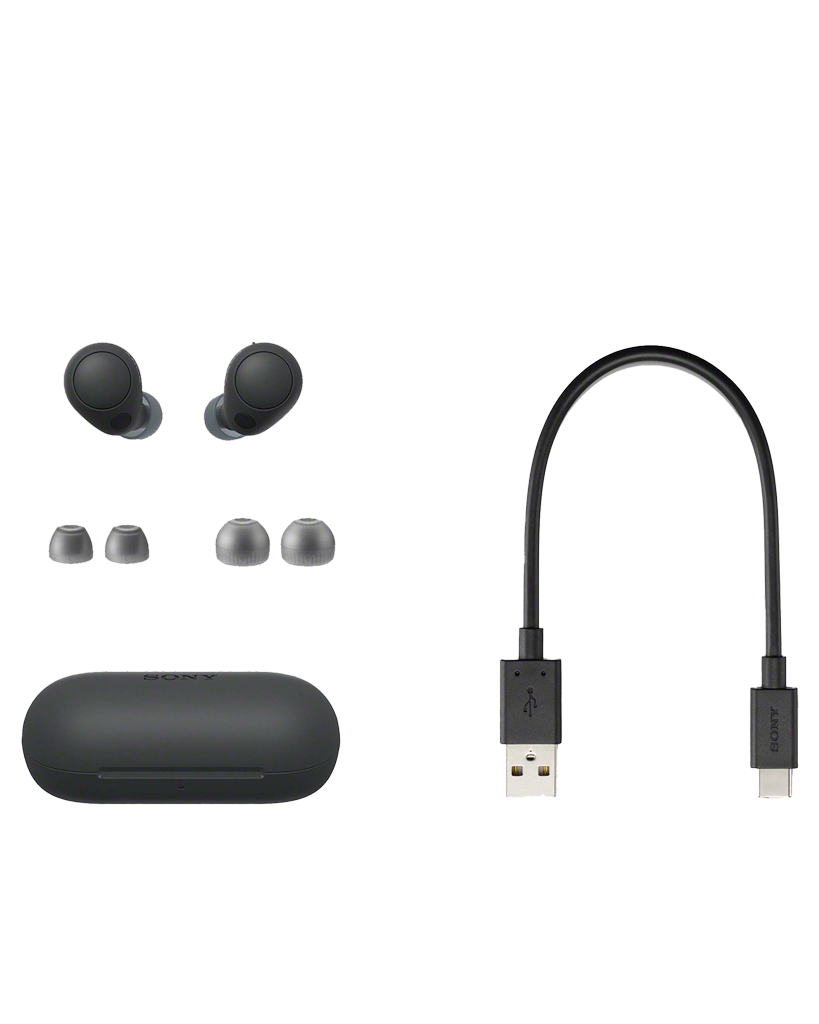 Sony Noise Cancelling Earbuds