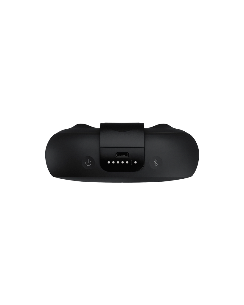 Bose Mini Bluetooth Speaker
