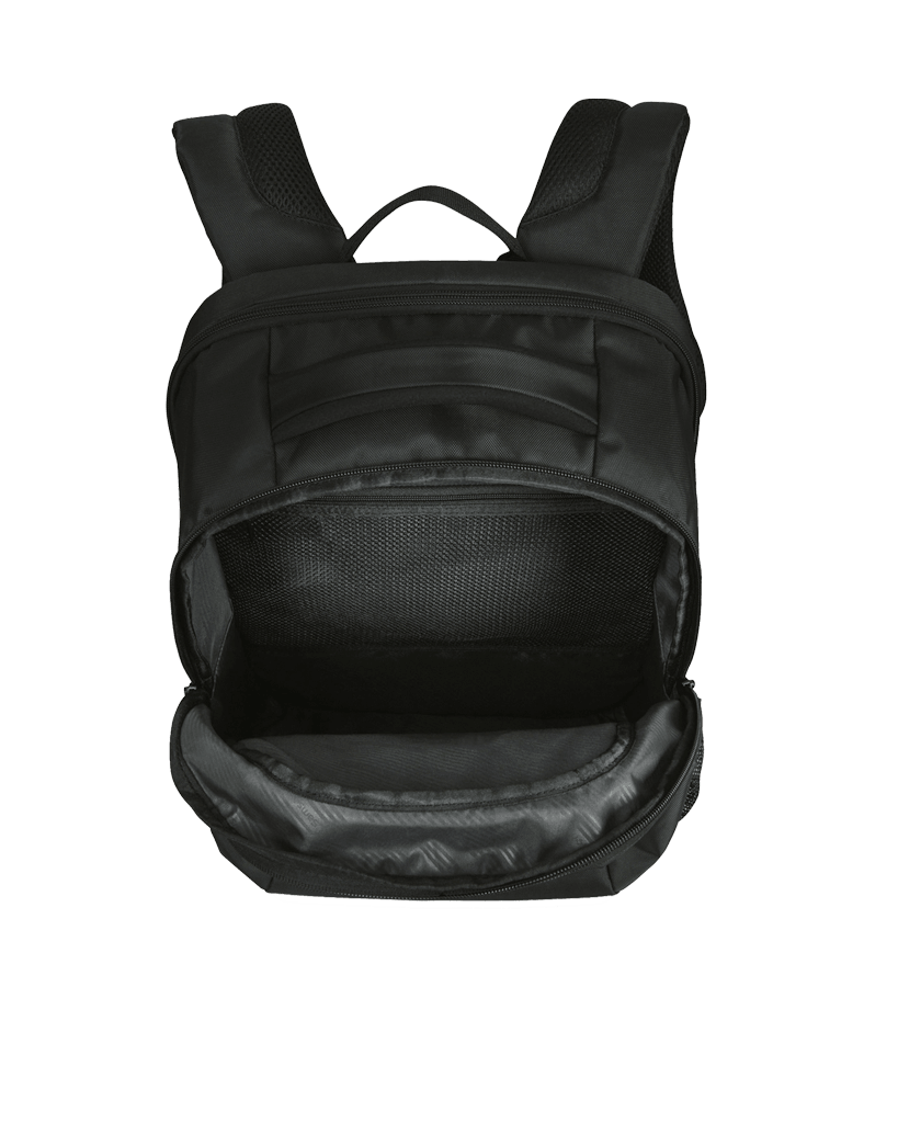 Samsonite Laptop Backpack