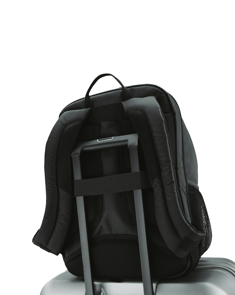 Samsonite Laptop Backpack