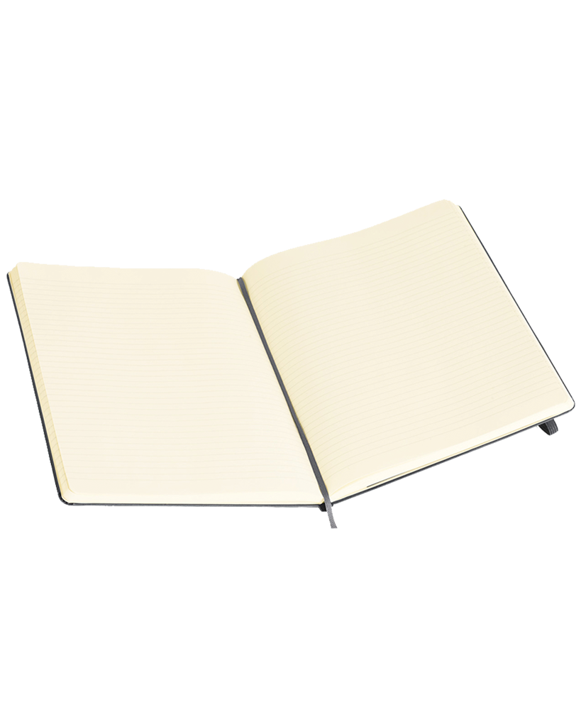 Moleskine Large Notebook