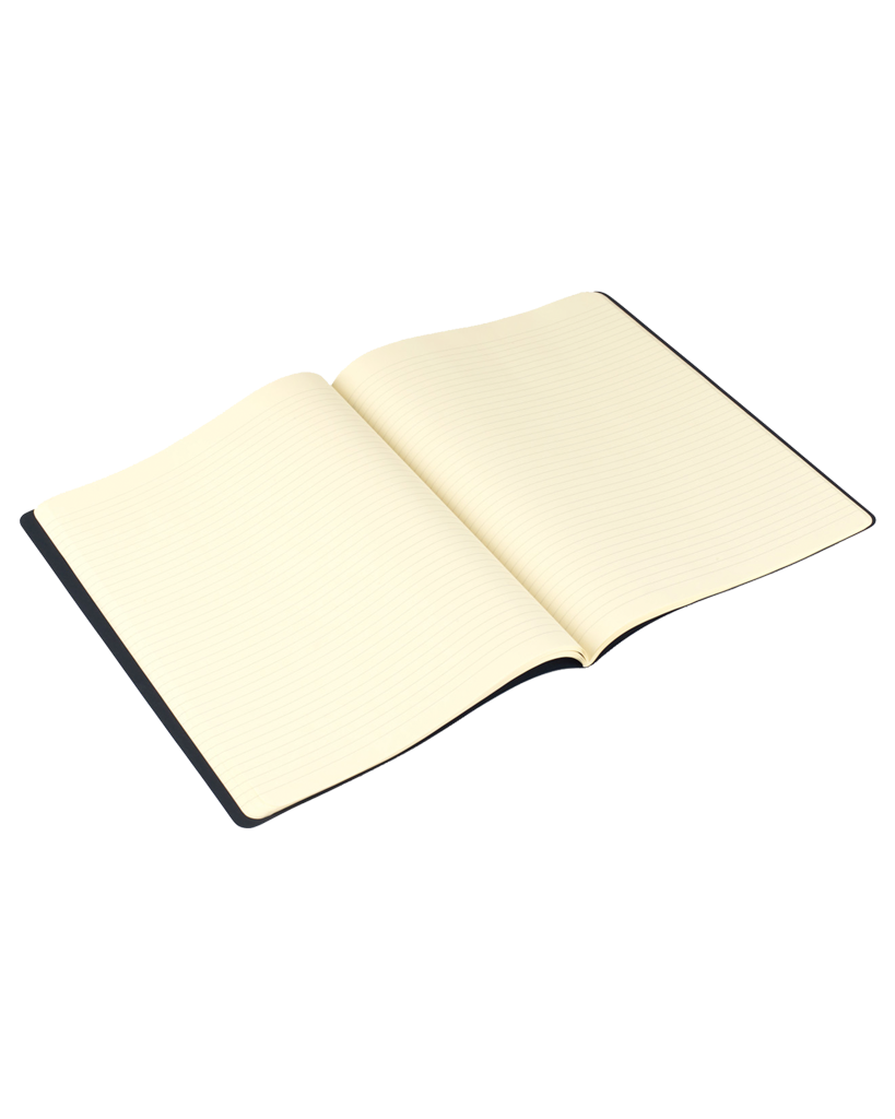 Moleskine Large Notebook