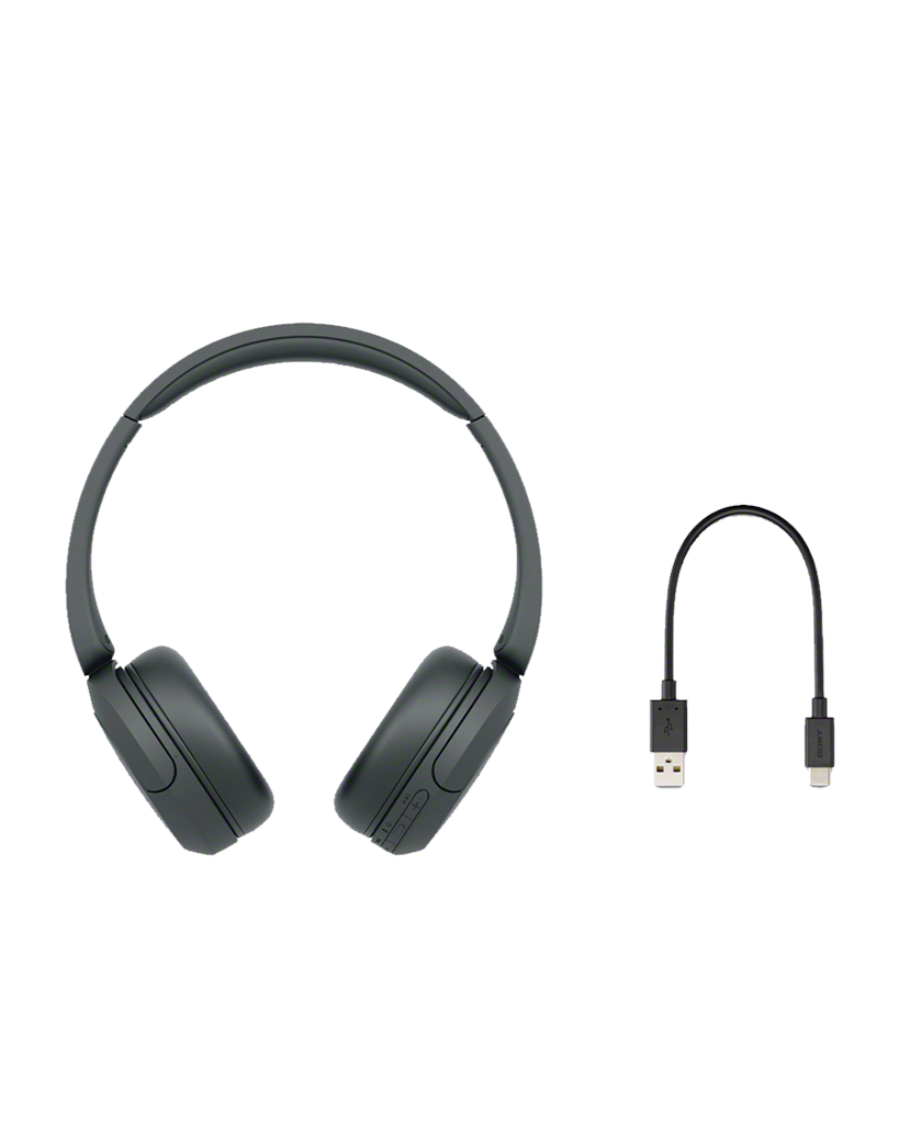 Sony Noise Canceling Headphones