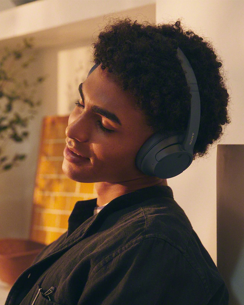 Sony Noise Canceling Headphones
