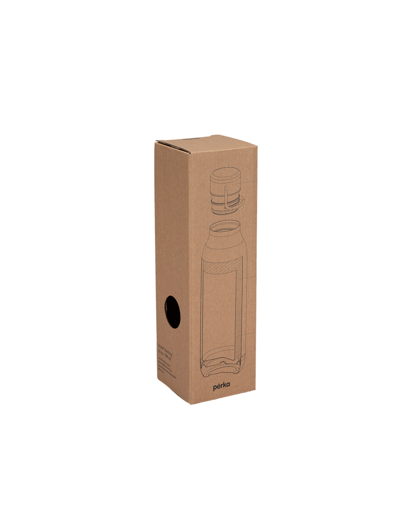 Stainless Steel Bottle