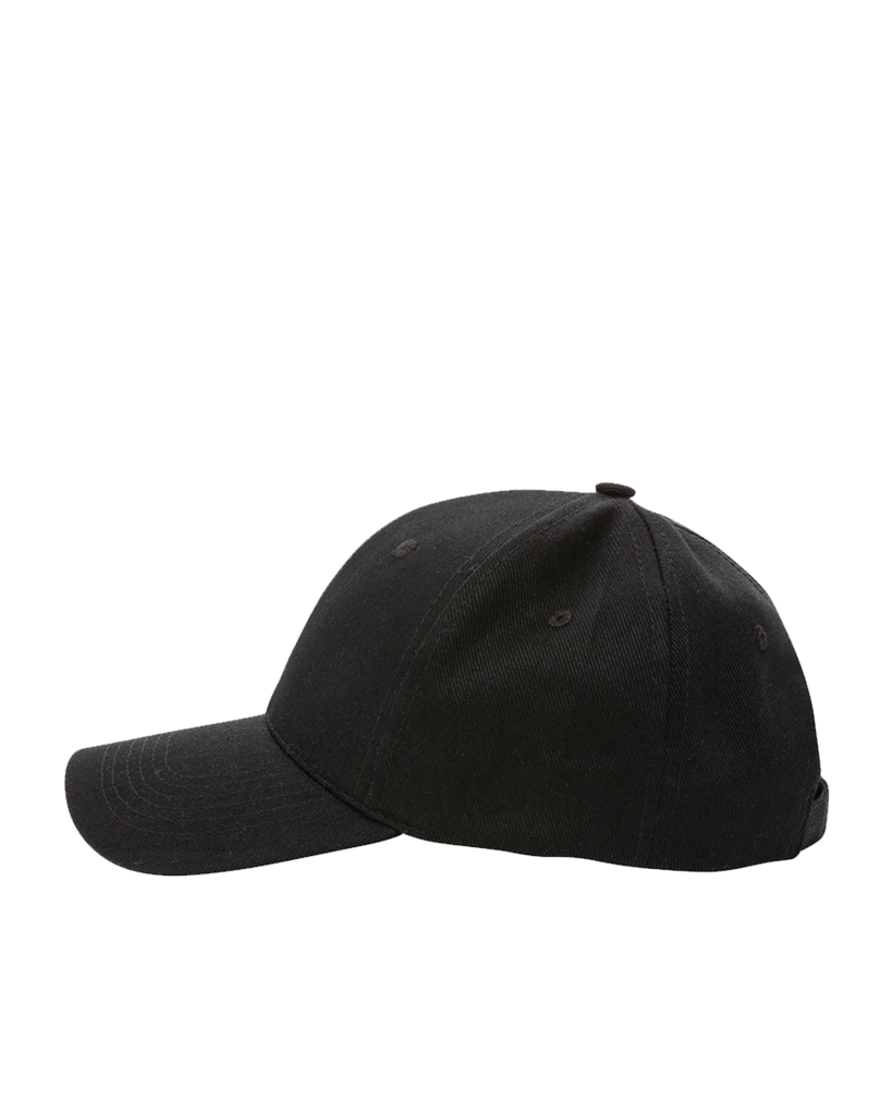 6 Panel Cap