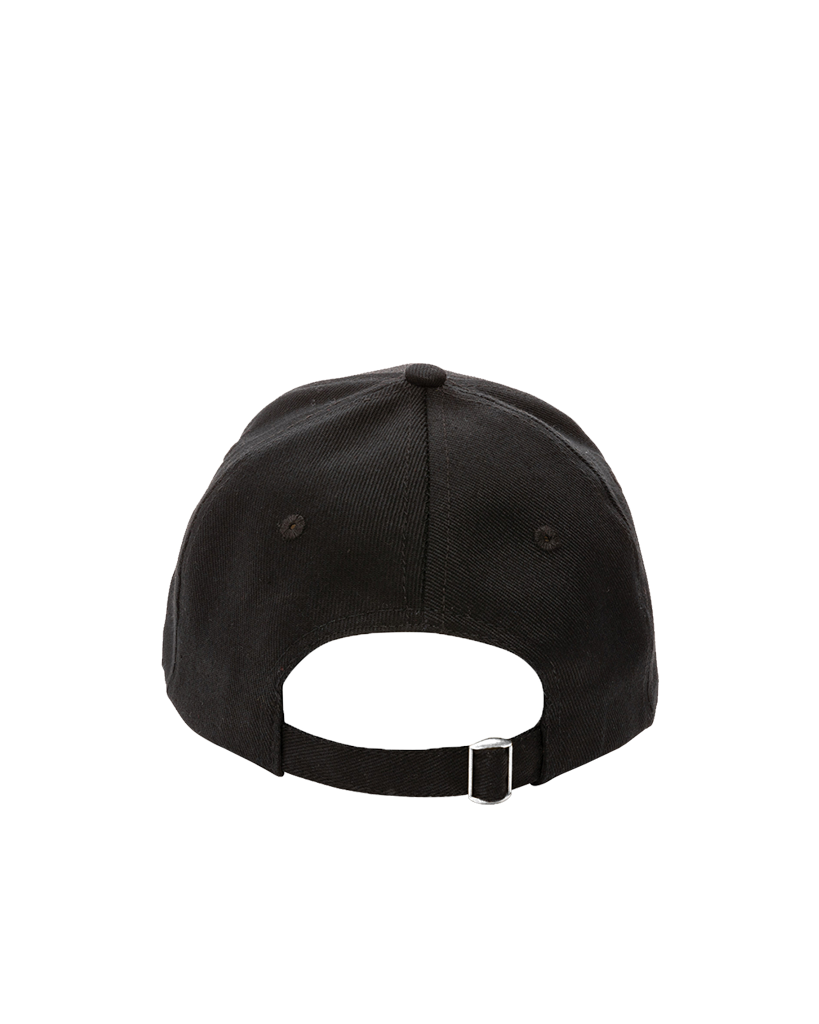 6 Panel Cap