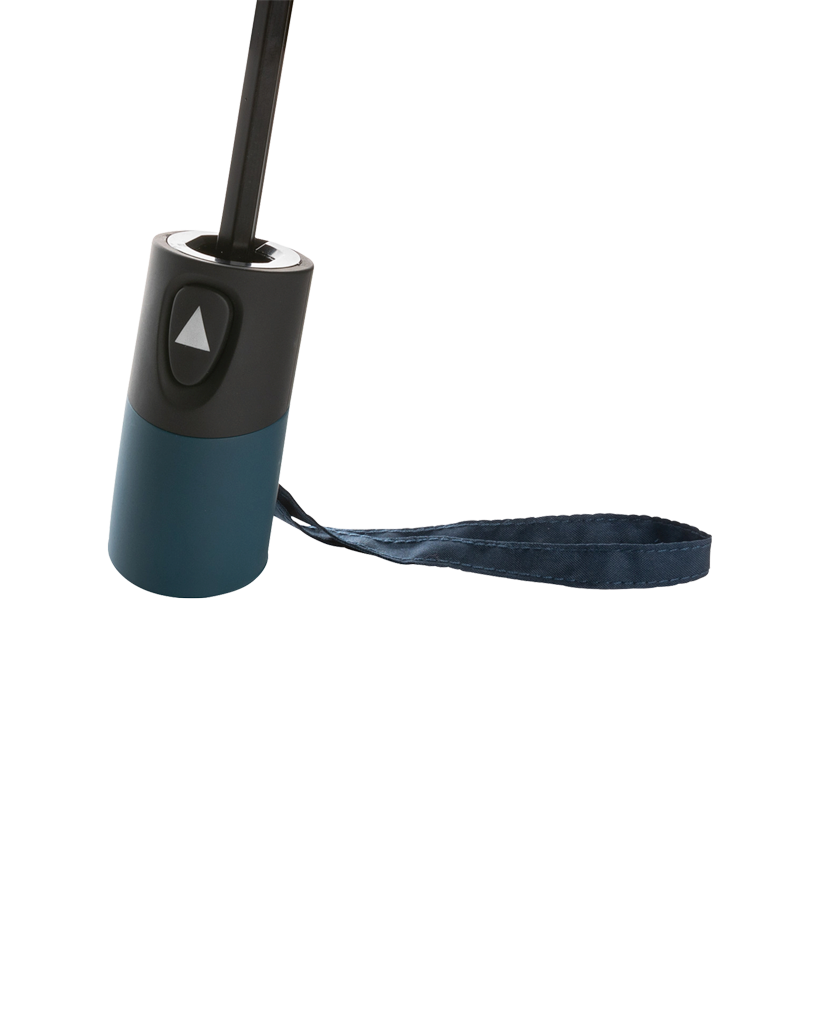 Mini Auto Open Umbrella