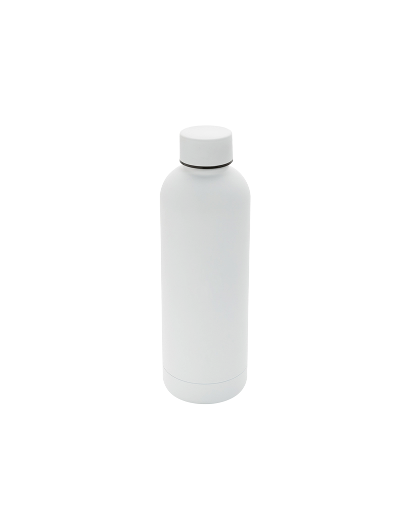 Stainless Steel Bottle • 16.9oz