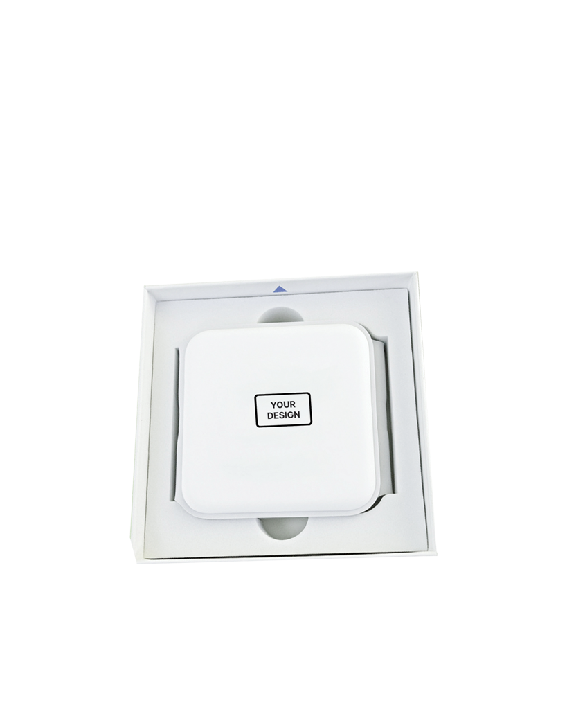 Travel Charger