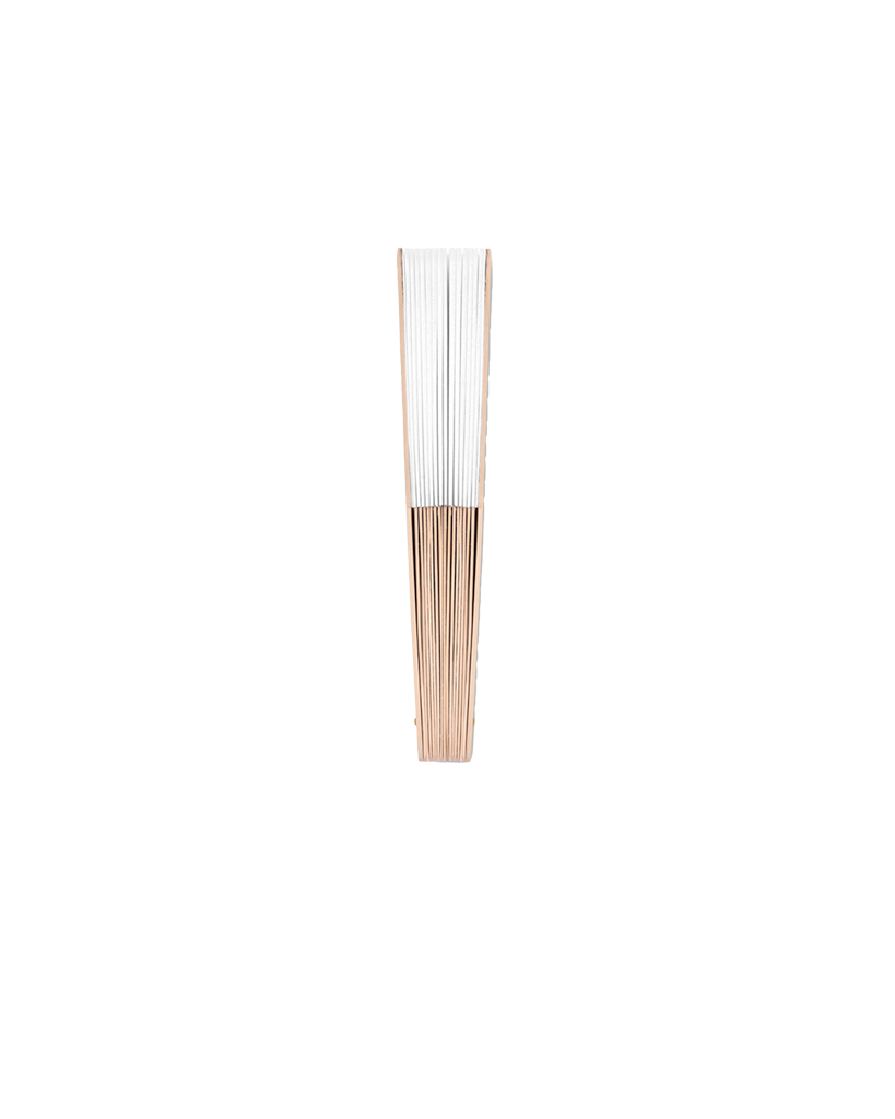 Hand Fan