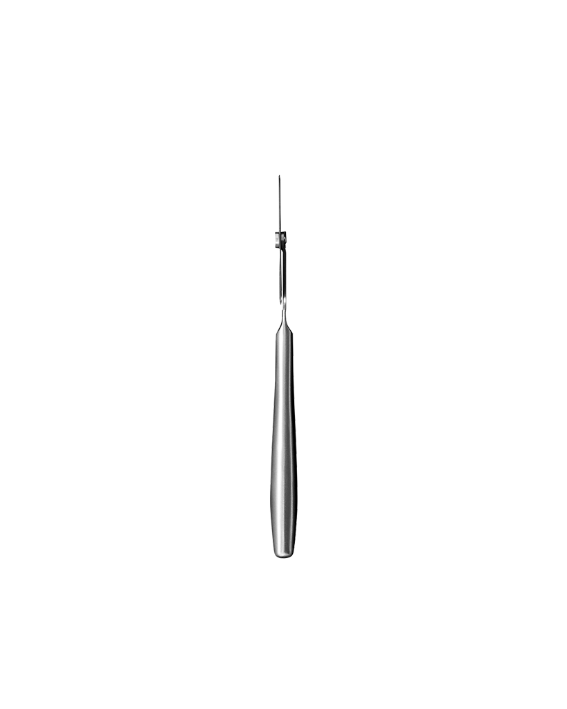 Pizza Slicer