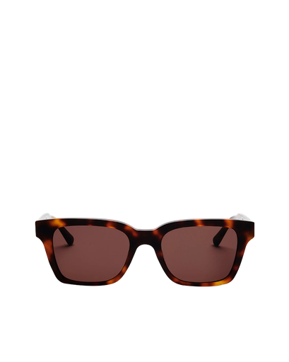 Tortoise Brown