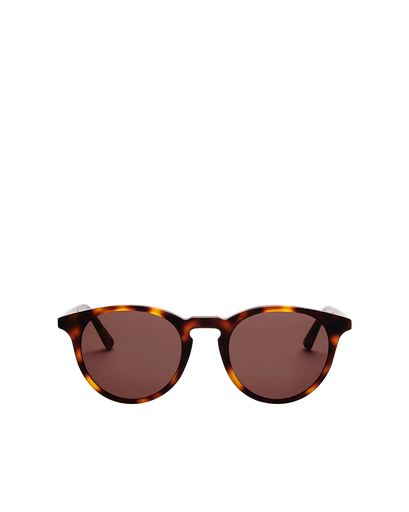 Tortoise Brown
