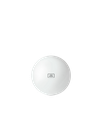 Stress Ball