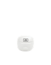 JBL Earbuds