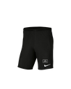 Nike Sport Shorts