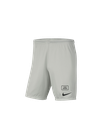 Nike Sport Shorts