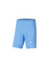 Nike Sport Shorts