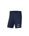 Nike Sport Shorts
