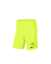 Nike Sport Shorts