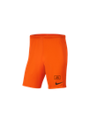 Nike Sport Shorts