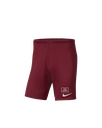 Nike Sport Shorts
