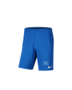 Nike Sport Shorts