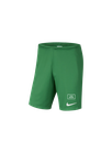 Nike Sport Shorts