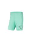 Nike Sport Shorts