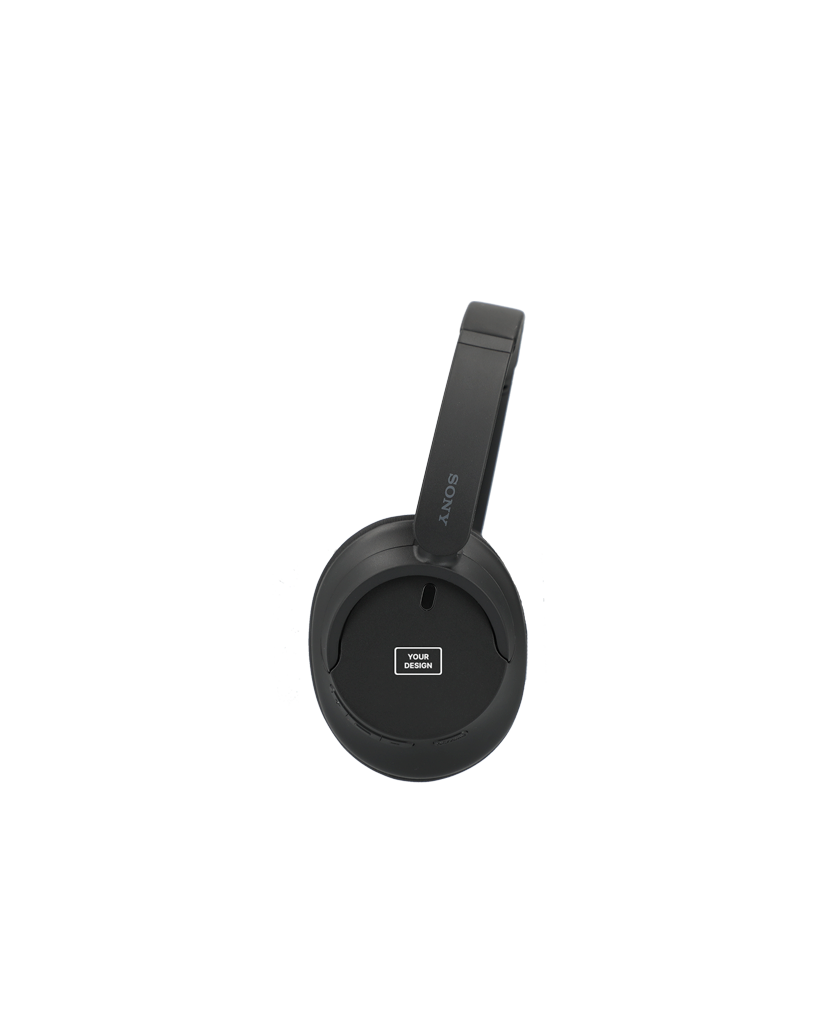 Sony Noise Canceling Headphones