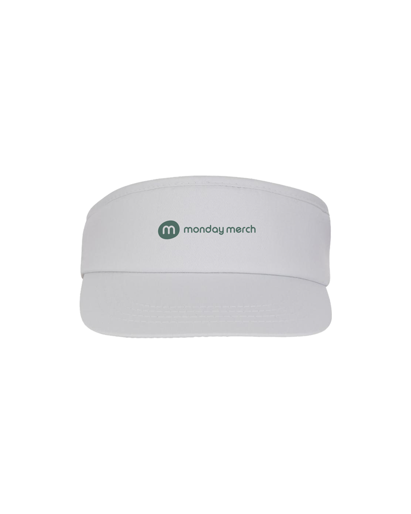 Sun Visor