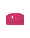 Sun Visor