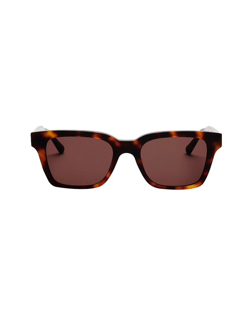 Tortoise Brown