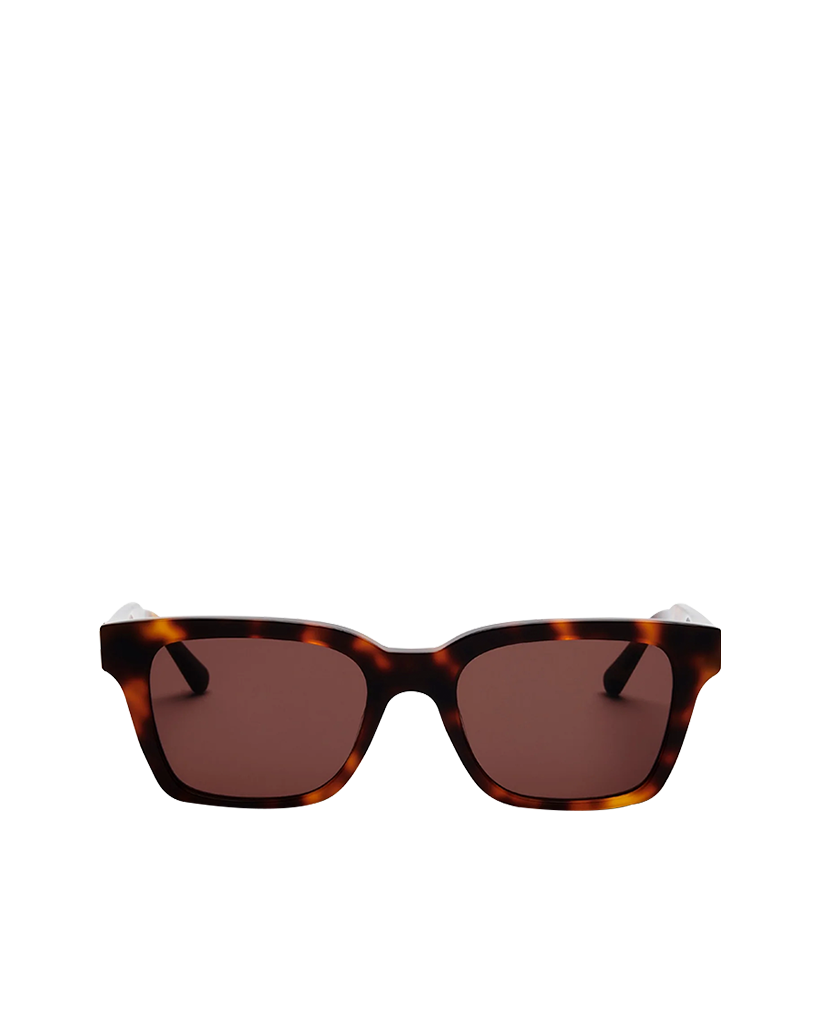 Tortoise Brown