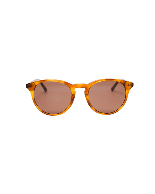 Havana Bruin
