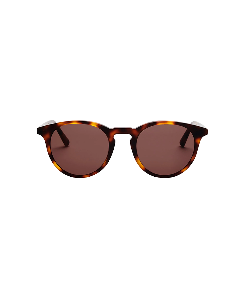 Tortoise Brown
