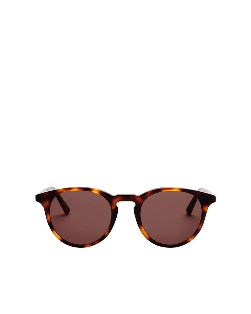 Tortoise Brown